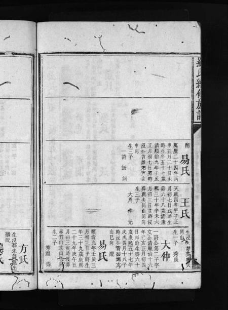 湖南罗氏族谱-罗氏家乘 [9卷,含首1卷].pdf电子版预览图4