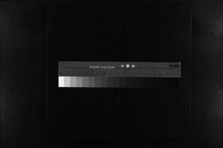 湖南罗氏族谱-罗氏房谱 [残卷].pdf电子版缩略图