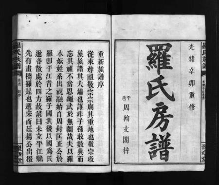 湖南罗氏族谱-罗氏房谱 [残卷].pdf电子版预览图2