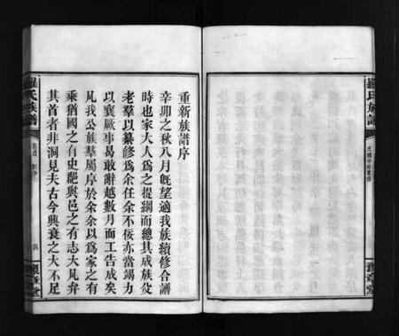 湖南罗氏族谱-罗氏房谱 [残卷].pdf电子版预览图5