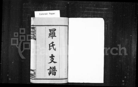 湖南罗氏族谱-罗氏支谱 [9卷,首3卷].pdf电子版预览图2