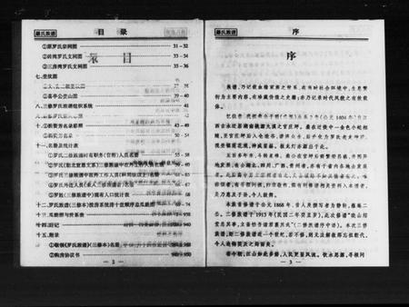 湖南罗氏族谱-罗氏族谱.pdf电子版预览图4