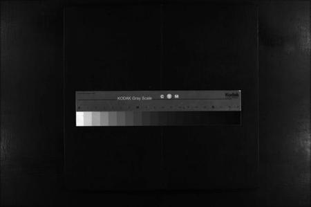 湖南未知族谱-罗氏族谱 [12卷].pdf电子版缩略图