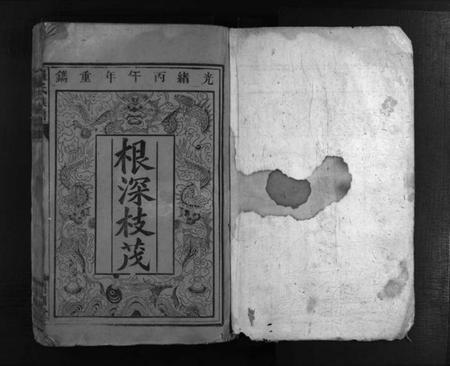 湖南未知族谱-罗氏族谱 [12卷].pdf电子版预览图2