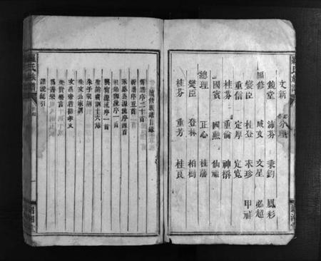 湖南未知族谱-罗氏族谱 [12卷].pdf电子版预览图4