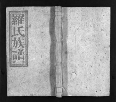 湖南罗氏族谱-罗氏族谱 [16卷].pdf电子版预览图1