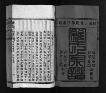 湖南罗氏族谱-罗氏族谱 [16卷].pdf电子版预览图2