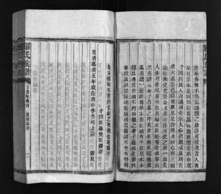 湖南罗氏族谱-罗氏族谱 [16卷].pdf电子版预览图3