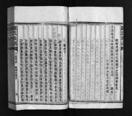 湖南罗氏族谱-罗氏族谱 [16卷].pdf电子版预览图5