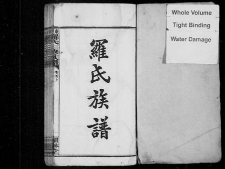 湖南罗氏族谱-罗氏族谱 [23卷,首2卷,末1卷].pdf电子版预览图2