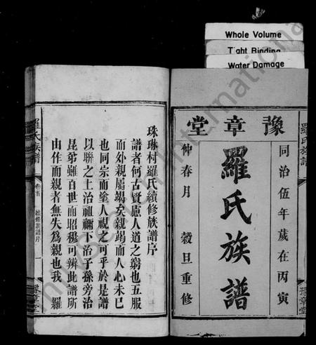湖南罗氏族谱-罗氏族谱 [6卷,及卷首].pdf电子版预览图2