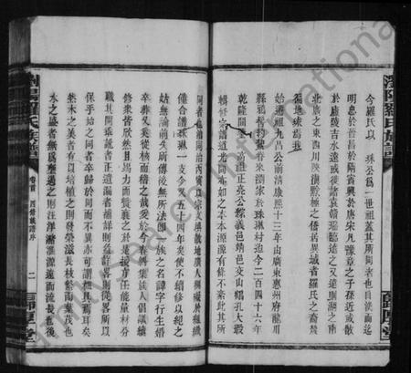 湖南罗氏族谱-罗氏族谱 [8卷,及卷首].pdf电子版预览图4