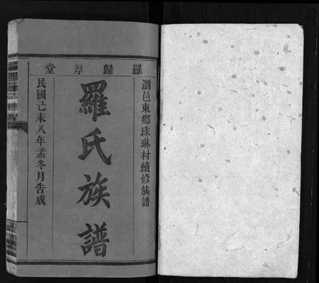 湖南罗氏族谱-罗氏族谱 [8卷,及卷首].pdf电子版预览图2