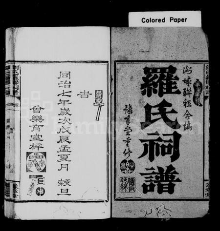 湖南罗氏族谱-罗氏祠谱.pdf电子版预览图2