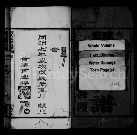 湖南罗氏族谱-罗氏祠谱.pdf电子版预览图3