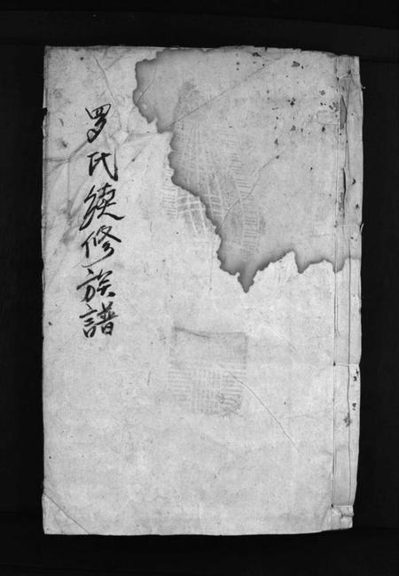 湖南罗氏族谱-罗氏续修族谱 [1卷,首1卷].pdf电子版预览图1