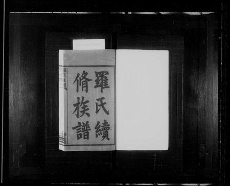 湖南罗氏族谱-罗氏续修族谱 [8卷].pdf电子版预览图2