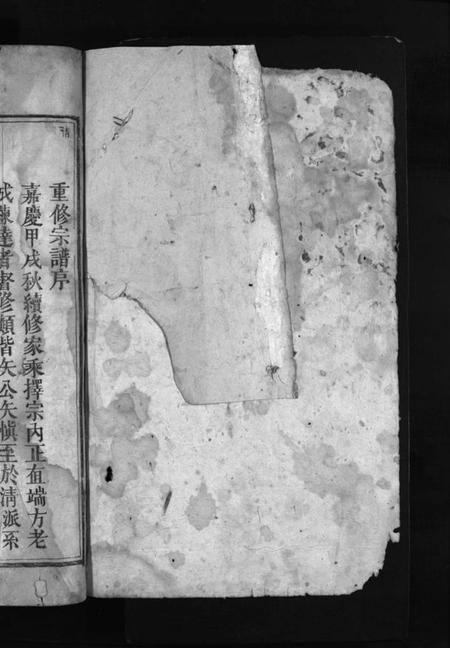 湖南罗氏族谱-罗氏重修宗谱 [29卷,首1卷].pdf电子版预览图2