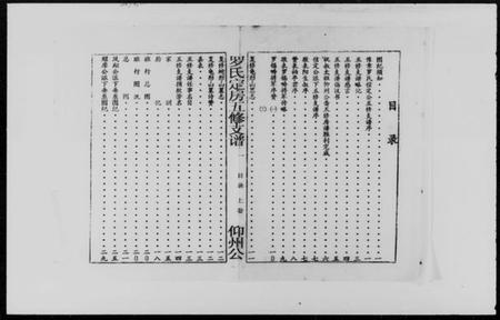 湖南罗氏族谱-豫章罗氏信定公五修支谱 [不分卷].pdf电子版预览图2