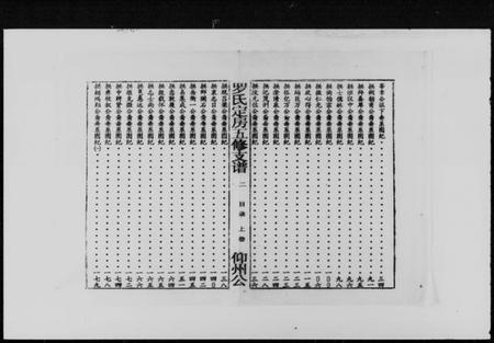 湖南罗氏族谱-豫章罗氏信定公五修支谱 [不分卷].pdf电子版预览图3