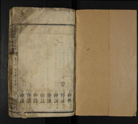 湖南罗氏族谱-龙源罗氏七修族谱 [存4卷].pdf电子版预览图1