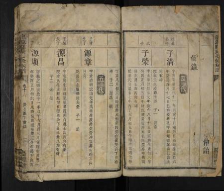 湖南罗氏族谱-龙源罗氏七修族谱 [存4卷].pdf电子版预览图2