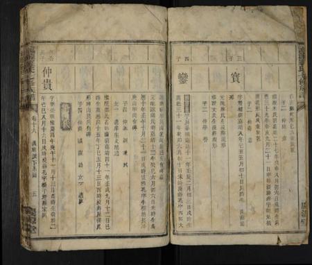 湖南罗氏族谱-龙源罗氏七修族谱 [存4卷].pdf电子版预览图4