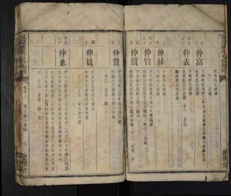 湖南罗氏族谱-龙源罗氏七修族谱 [存4卷].pdf电子版预览图5