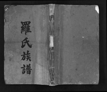 湖南罗氏族谱-罗氏族谱 [22卷,首2卷].pdf电子版预览图1