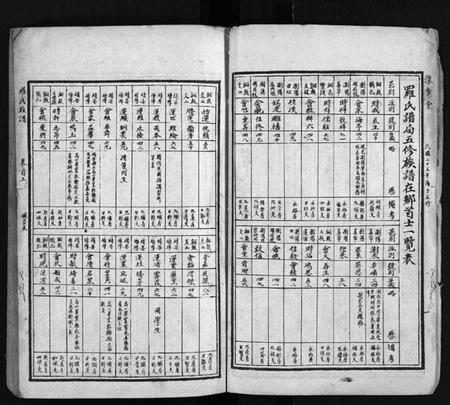 湖南罗氏族谱-罗氏族谱 [22卷,首2卷].pdf电子版预览图4