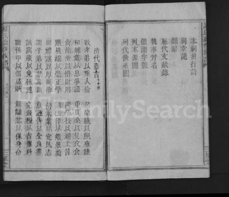 湖南罗氏族谱-罗氏续修族谱 [不分卷].pdf电子版预览图5