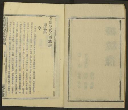 湖南罗氏族谱-公田罗氏族谱[各集分卷].pdf电子版预览图2