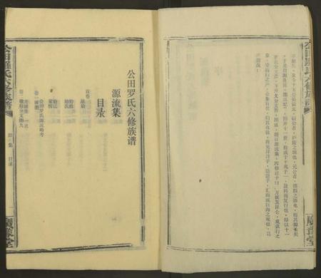 湖南罗氏族谱-公田罗氏族谱[各集分卷].pdf电子版预览图3