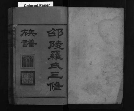 湖南罗氏族谱-邵陵罗氏三修族谱 [6卷,首末各1卷].pdf电子版预览图2