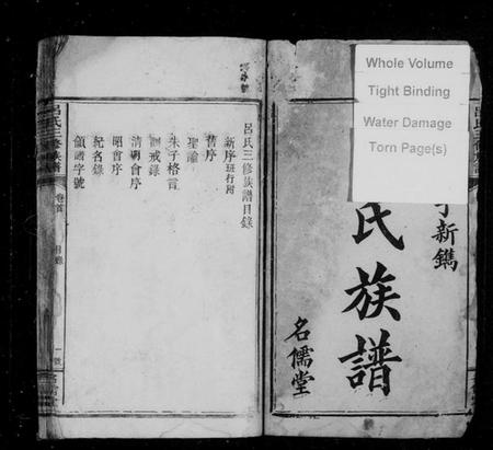 湖南吕氏族谱-吕氏三修族谱 [7卷,首1卷].pdf电子版预览图3