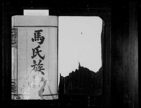 湖南马氏族谱-马氏族谱 [8卷,含卷首].pdf电子版预览图2