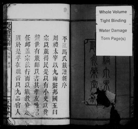 湖南马氏族谱-马氏族谱 [8卷,含卷首].pdf电子版预览图4