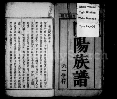 湖南欧阳氏族谱-欧阳族谱 [4卷,首末各1卷].pdf电子版预览图4