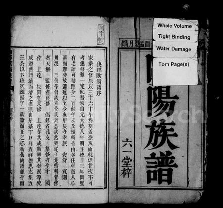 湖南欧阳氏族谱-欧阳族谱 [4卷,首末各1卷].pdf电子版预览图5