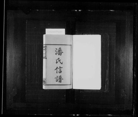 湖南潘氏族谱-兰宜潘氏四修信谱 [16卷,首6卷].pdf电子版预览图2