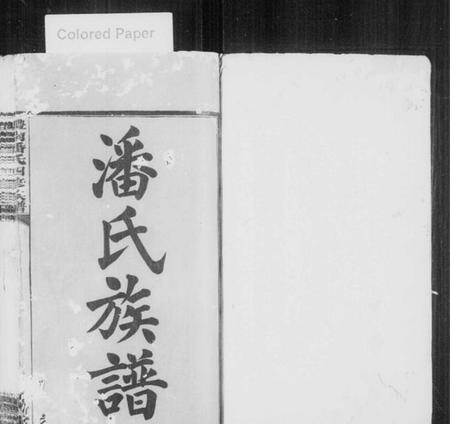 湖南潘氏族谱-醴南潘氏四修族谱.pdf电子版预览图2