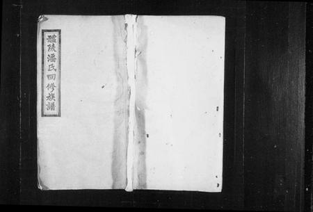 湖南潘氏族谱-醴陵潘氏四修族谱 [6卷,首2卷].pdf电子版预览图1