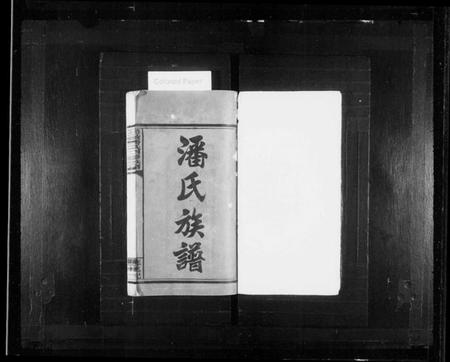 湖南潘氏族谱-醴陵潘氏四修族谱 [6卷,首2卷].pdf电子版预览图2