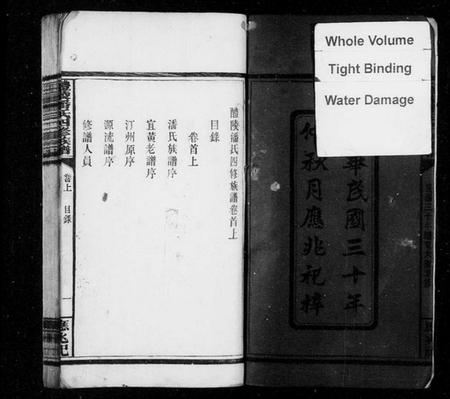 湖南潘氏族谱-醴陵潘氏四修族谱 [6卷,首2卷].pdf电子版预览图4