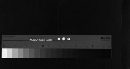 湖南彭氏族谱-彭氏五修族谱[59卷,首2卷,末3卷].pdf电子版缩略图