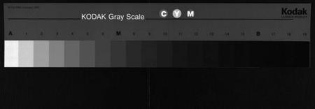 湖南彭氏族谱-彭氏四修族谱[31卷,首3卷,末5卷].pdf电子版缩略图