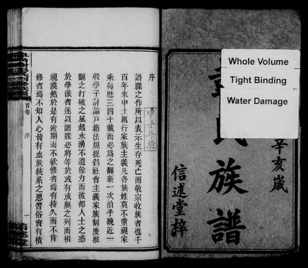 湖南彭氏族谱-皁角树彭氏四修族谱 [派纪4卷,齿录16卷,首3卷,末1卷].pdf电子版预览图3