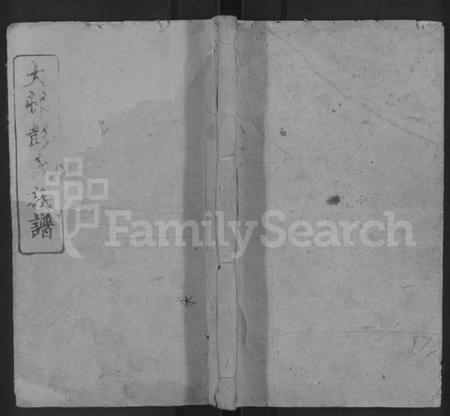 湖南彭氏族谱-大邨彭氏族谱 [18卷,首3卷].pdf电子版缩略图