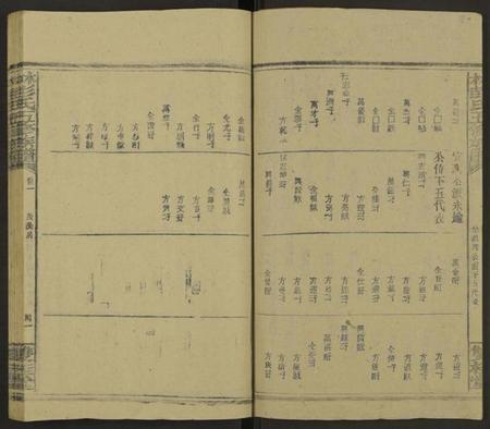 湖南林氏彭氏族谱-林彭氏五修族谱[卷上下,2卷又36卷].pdf电子版预览图2