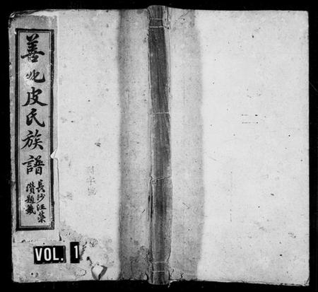 湖南皮氏族谱-善化皮氏世族谱 [16卷].pdf电子版